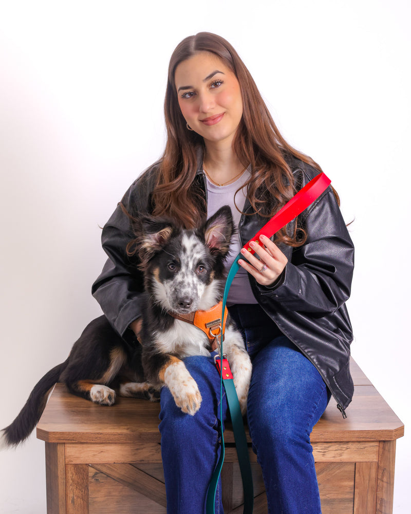 Commercial photography showcasing retail merchandise display.
