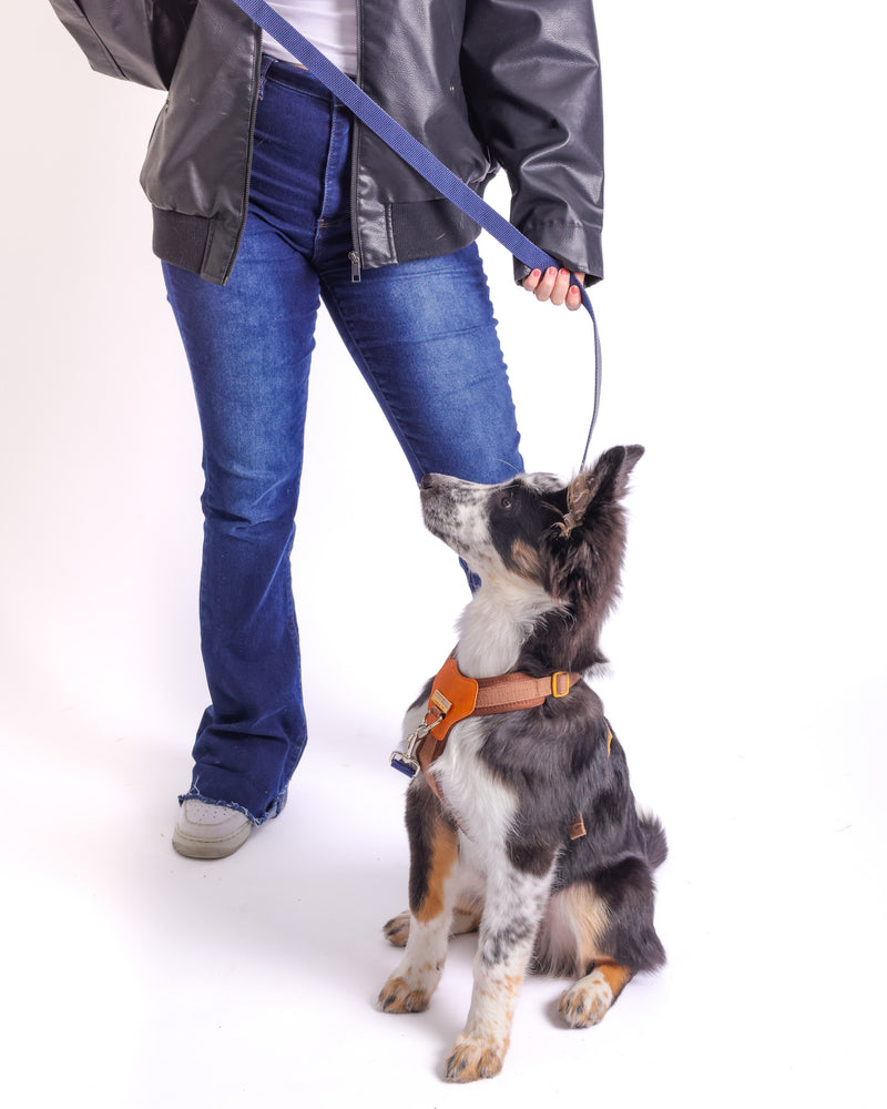 Branding photoshoot featuring curated retail collection.
