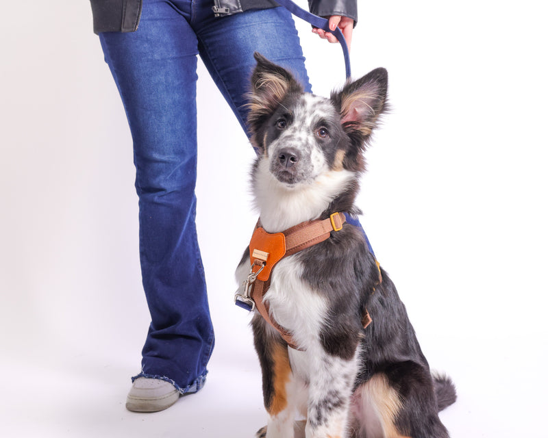 Retail product photography in Toronto showcasing lifestyle brand merchandise styled in a clean, modern commercial setup.