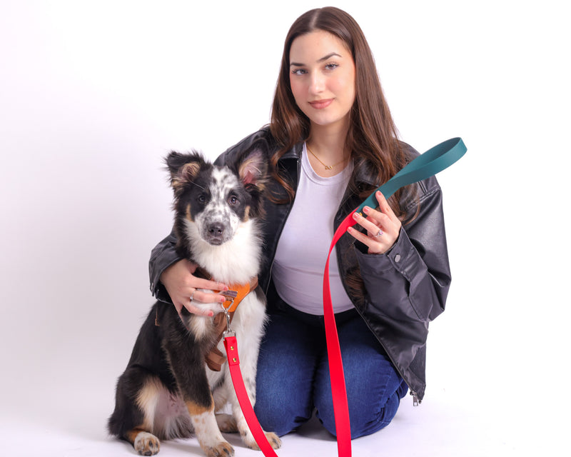 Professional e-commerce product photoshoot in Toronto featuring curated retail items styled for branding and online store use.