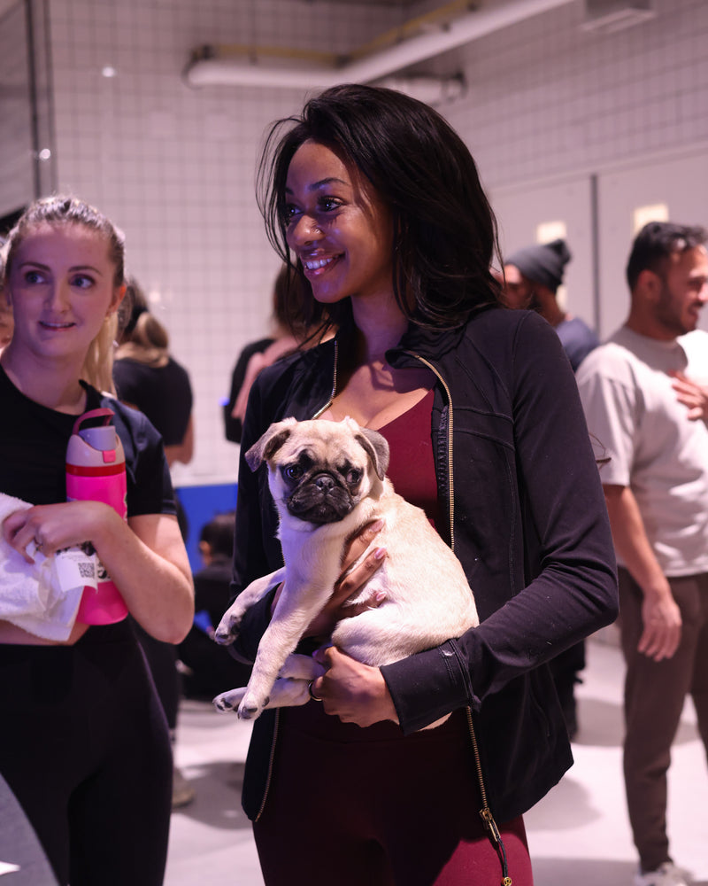 Brand activation puppy yoga event in Toronto featuring a woman holding a small puppy during an immersive on-site experiential activation.