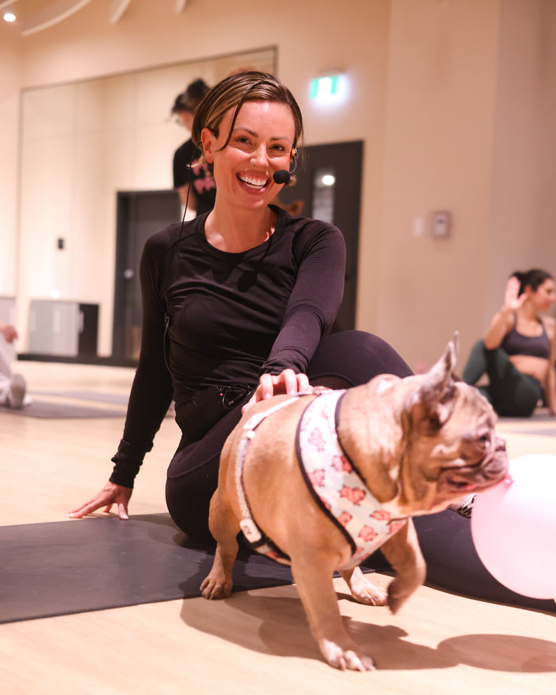 Toronto puppy yoga brand activation featuring participants interacting with rescue puppies during an immersive live event.