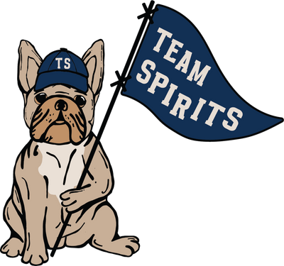 Drink Team Spirits